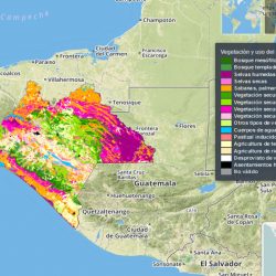 Ecometrica forest monitoring systems