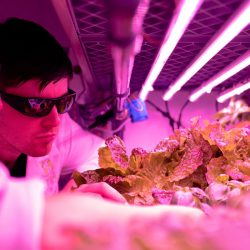 research and development