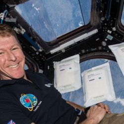 Tim Peake in ISS Cupola